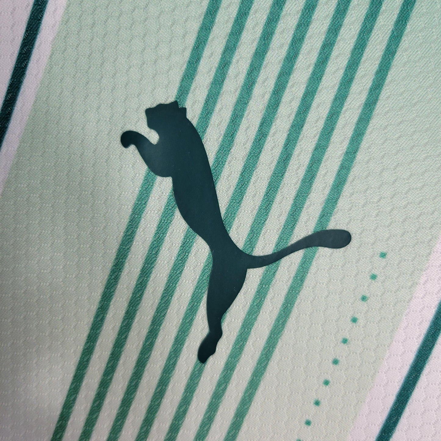 CAMISA PALMEIRAS II MANGA LONGA - 23/24
