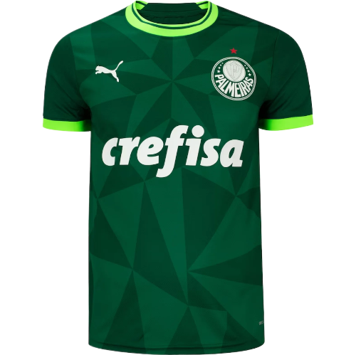 CAMISA PALMEIRAS I - 23/24