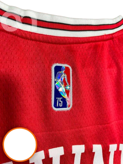 REGATA NBA CHICAGO BULLS ICON EDIÇÃO 75 ANOS ZACH LAVINE VERMELHA