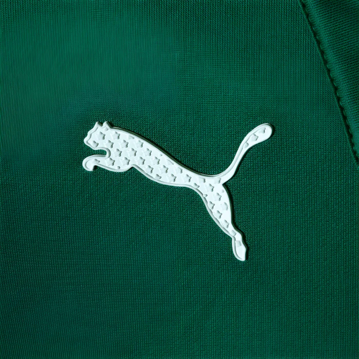 CAMISA PALMEIRAS ABEL FERREIRA 23/24 MOTORSPORT