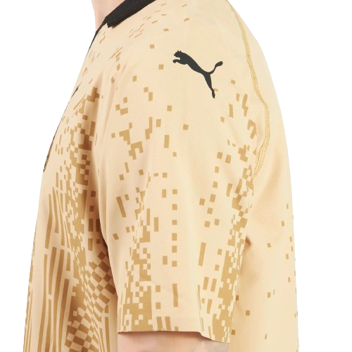 CAMISA MILAN IV - 23/24 - EDIÇÃO ESPECIAL DOURADA