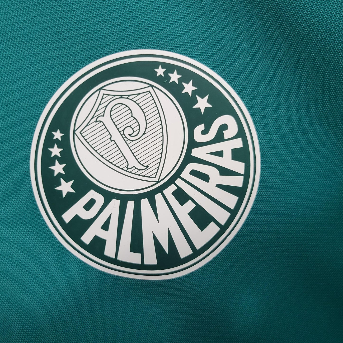 CAMISA PALMEIRAS TREINO 2023/24