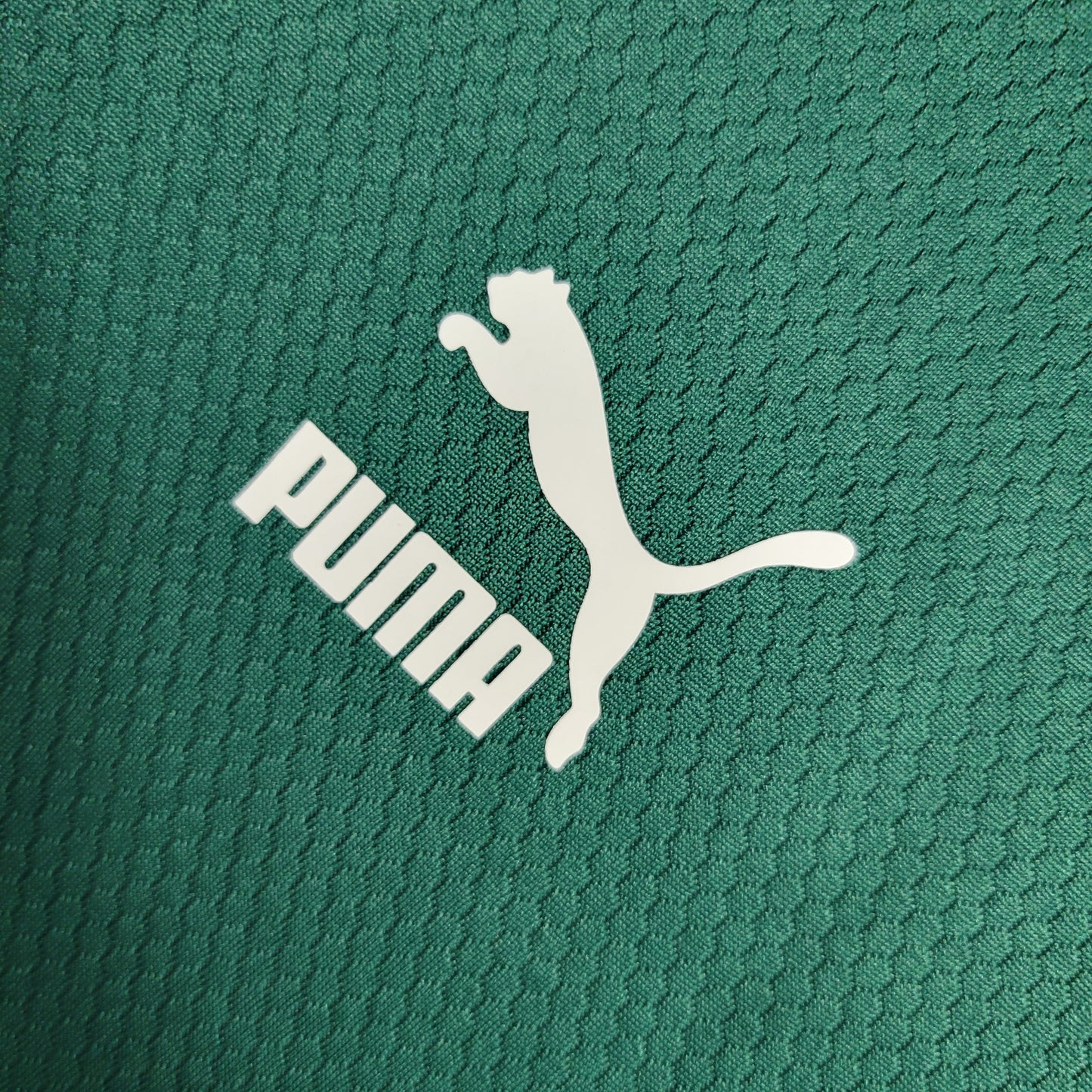 CAMISA PALMEIRAS TREINO VERDE - 2023/24