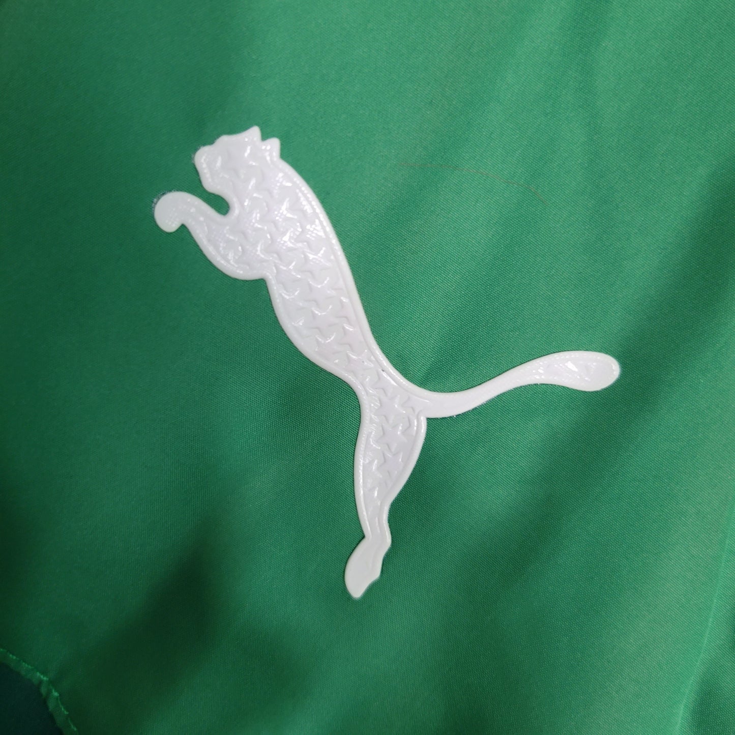 JAQUETA CORTA VENTO PALMEIRAS VERDE - 23/24