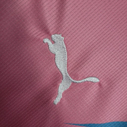 CAMISA PALMEIRAS EDIÇÃO ESPECIAL OUTUBRO ROSA E NOVEMBRO AZUL - 23/24