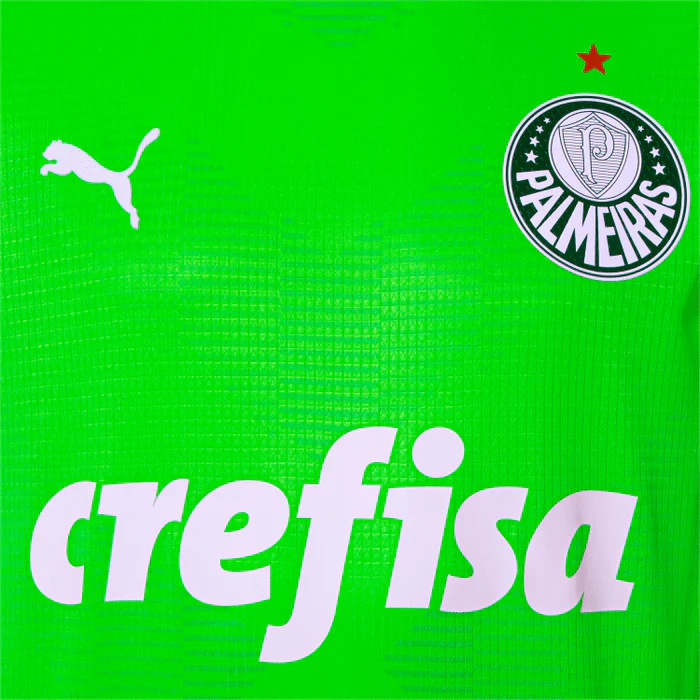 CAMISA PALMEIRAS GOLEIRO II VERDE - 23/24