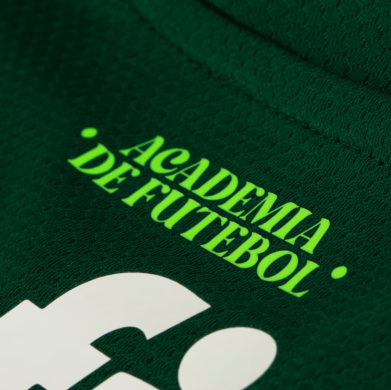 CAMISA PALMEIRAS I - 23/24