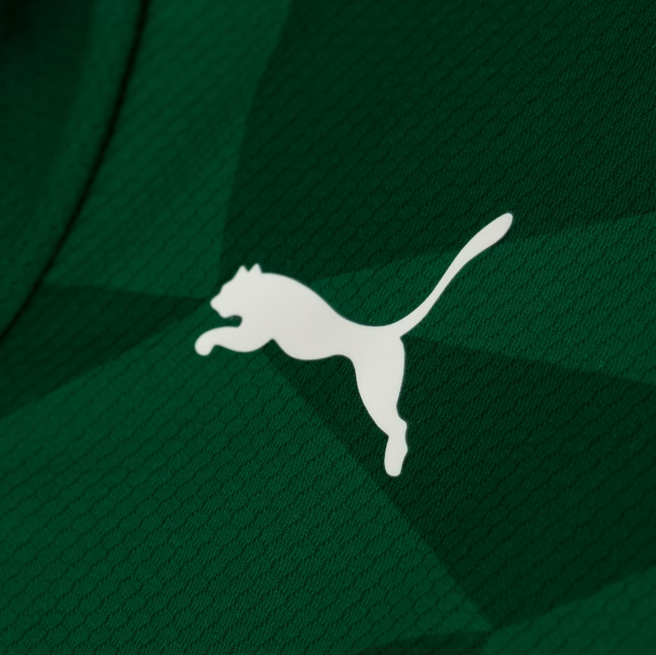 CAMISA PALMEIRAS I - 23/24