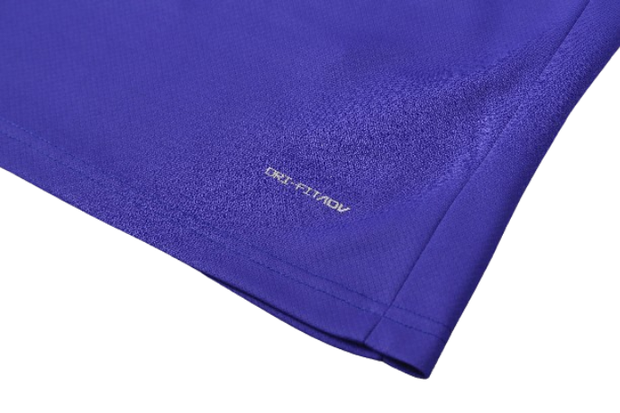 CONJUNTO TREINO BARCELONA CAMISA+SHORT - ROXO 2023/24