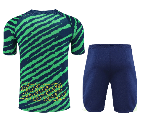 CONJUNTO TREINO BRASIL CAMISA+SHORT - VERDE GARRA 2023/24