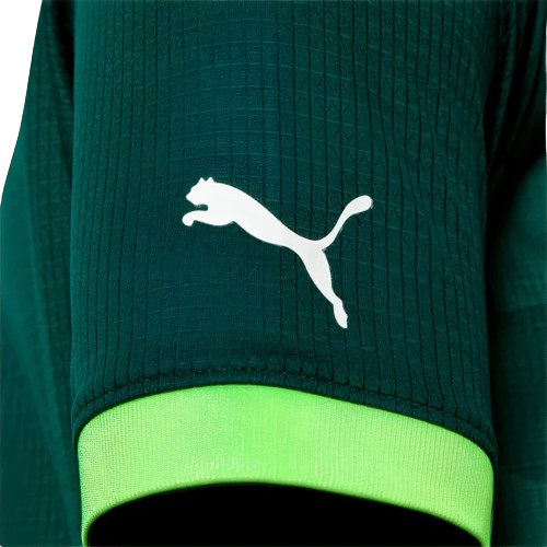 CAMISA PALMEIRAS I - 23/24