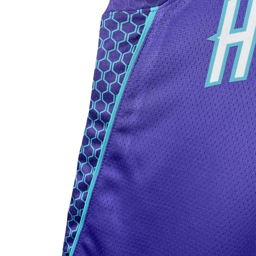 REGATA NBA CHARLOTTE HORNETS STATEMENT EDITION LAMELO BALL ROXA