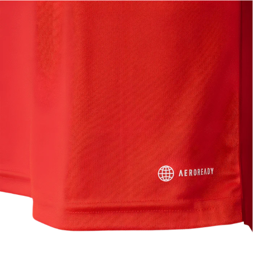 CAMISA INTERNACIONAL I 23/24