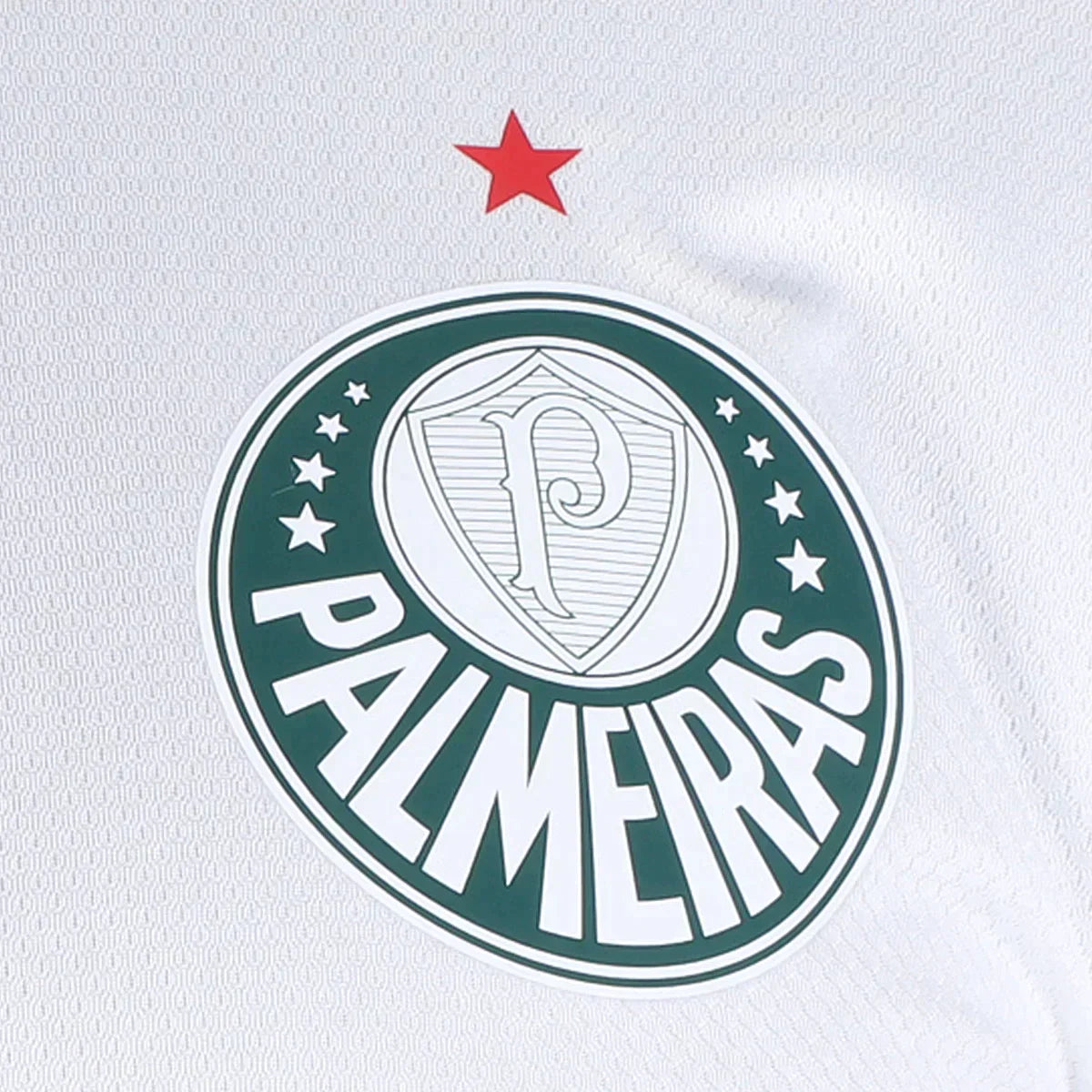 CAMISA PALMEIRAS II - 23/24