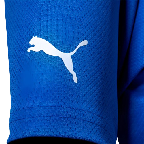 CAMISA PALMEIRAS GOLEIRO I AZUL - 23/24