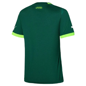 CAMISA FEMININA PALMEIRAS I - 23/24