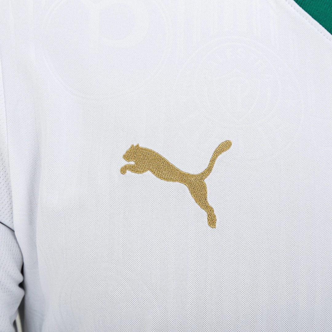 CAMISA PALMEIRAS II - 24/25