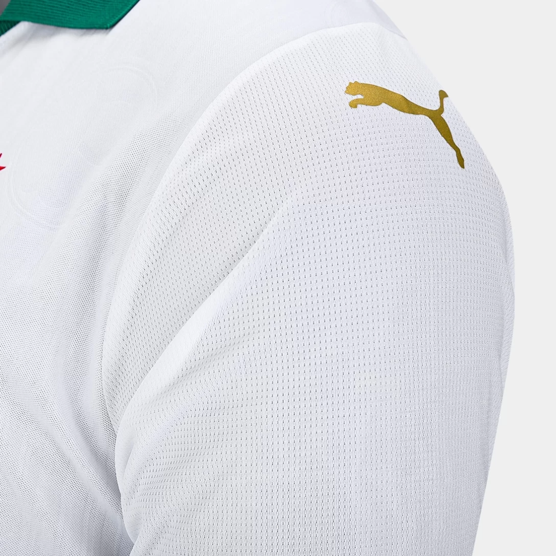 CAMISA PALMEIRAS II - 24/25