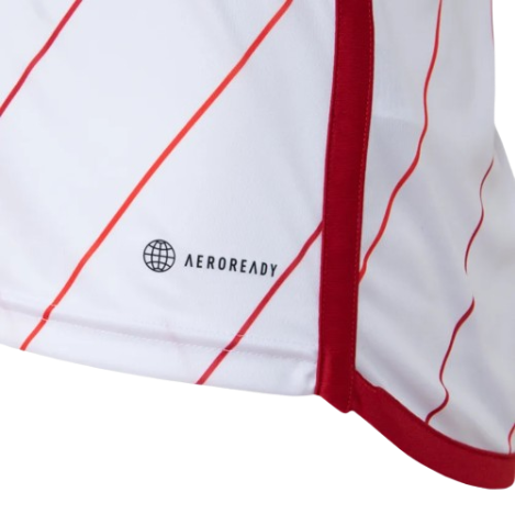 CAMISA INTERNACIONAL II 23/24