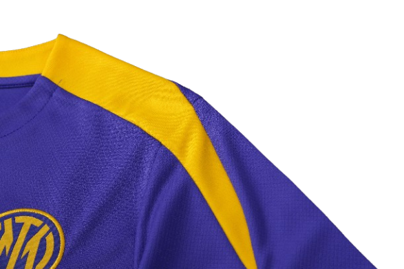 CONJUNTO TREINO INTER DE MILÃO CAMISA+SHORT - ROXO 2023/24