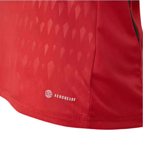 CAMISA GOLEIRO  INTERNACIONAL - 2023