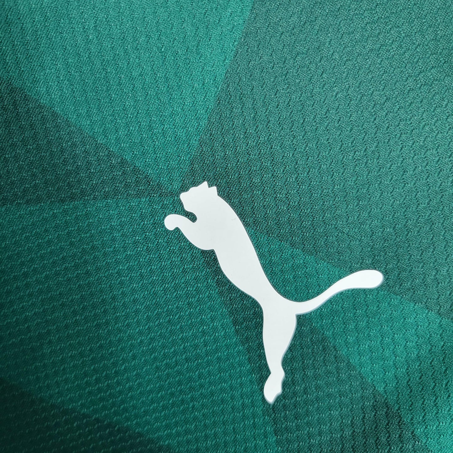 CAMISA PALMEIRAS I MANGA LONGA - 23/24