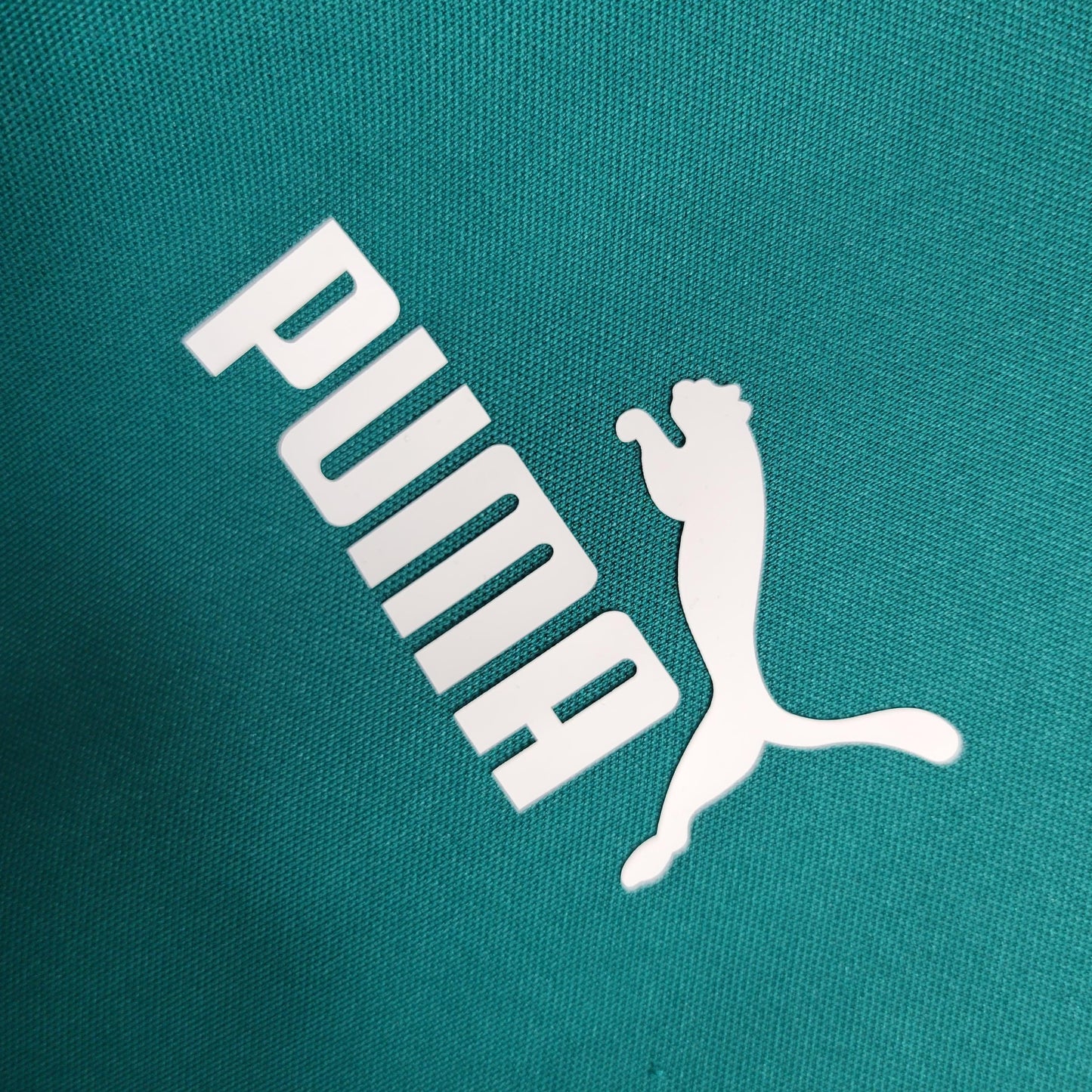 CAMISA PALMEIRAS TREINO 2023/24