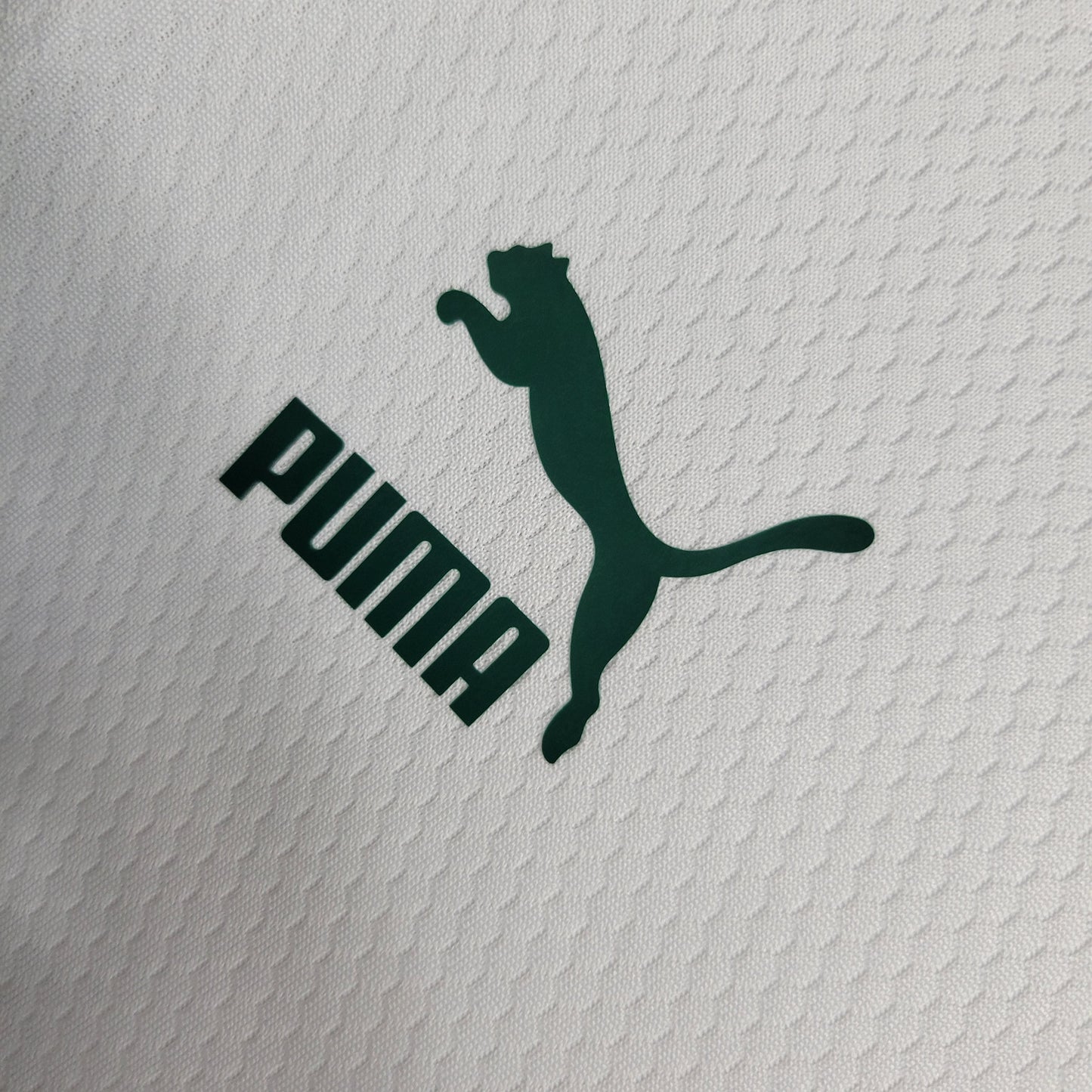 CAMISA PALMEIRAS TREINO BRANCA - 2023/24