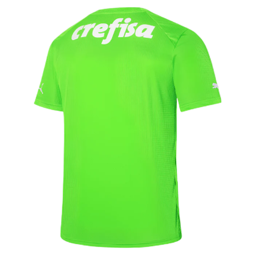 CAMISA PALMEIRAS GOLEIRO II VERDE - 23/24