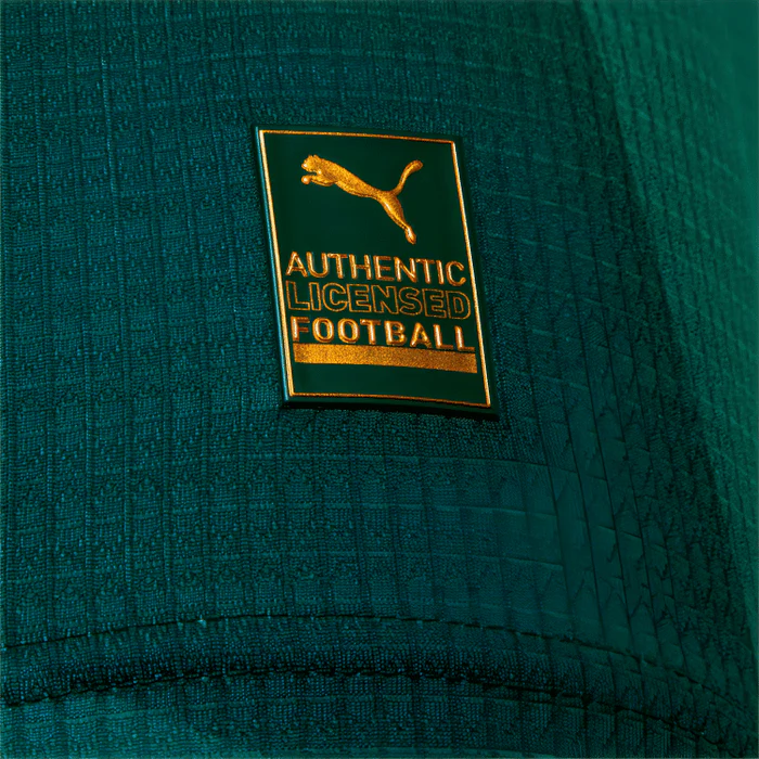CAMISA PALMEIRAS I - 23/24