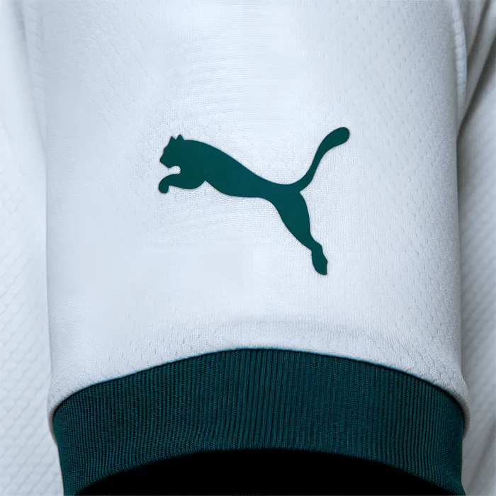 CAMISA PALMEIRAS II - 23/24